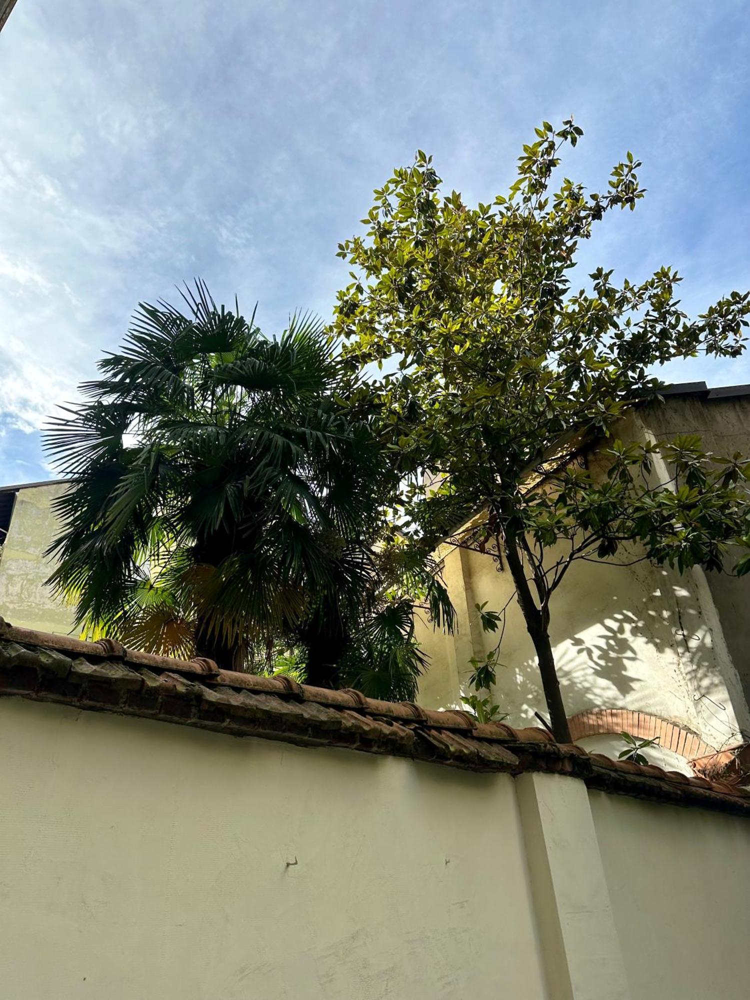 Lr Deluxe Apartments - Porta Venezia - Bilocale Con Giardino Privato Mailand Exterior foto